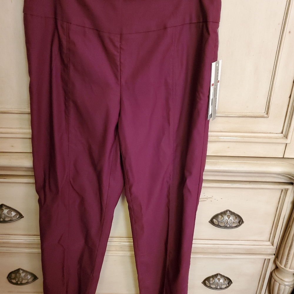 New pull on pants